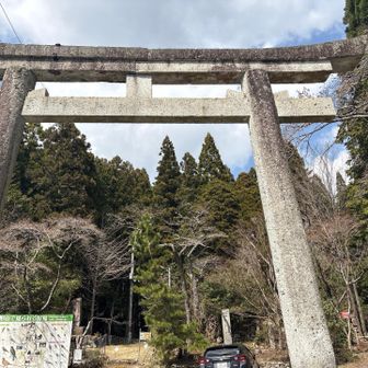 立派な鳥居⛩️です。