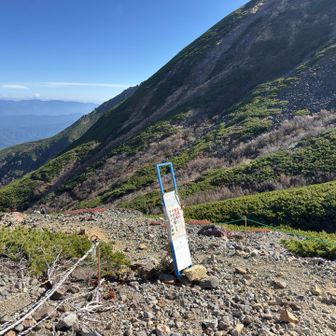 急いで下山します。