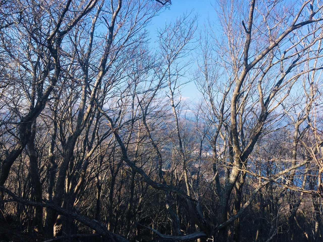 五葉山方向