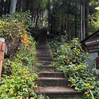 和田峠に着いてもまだ12時だし、ここから陣馬山山頂までCT30分なら、山頂まで行ってしまおう