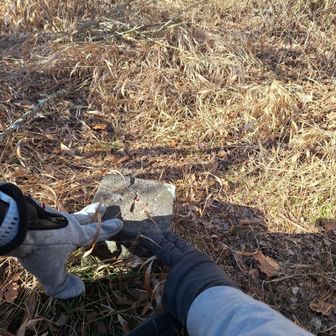 山標近くに三角点ありました
タッチ🙌
藪を抜けると…