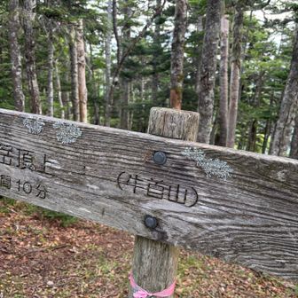 牛首山
展望はなし