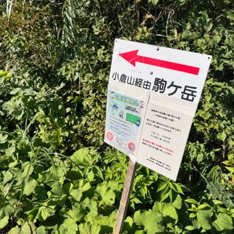 おかげさまでスタートは8:40でした。