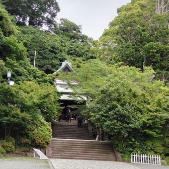 こちら鎌倉宮にて無事ハイク終了です