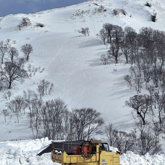 ぴゅーんって急降下跡🐾