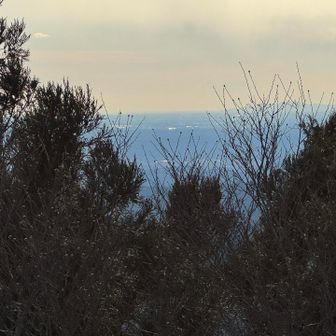 肉眼では富士山がうっすら見えたんだけど・・