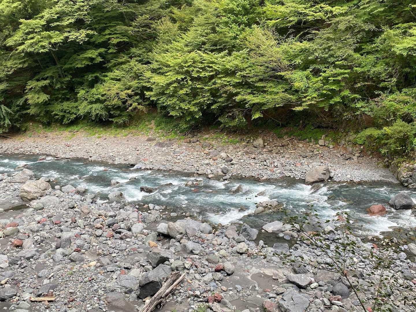 芝沢ゲート-易老渡-大木の広場-苔平-小聖岳-聖岳 往復コースの写真