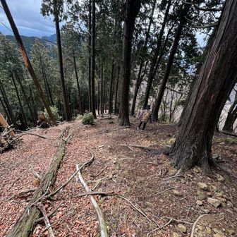 水井山の急な下りへ💦