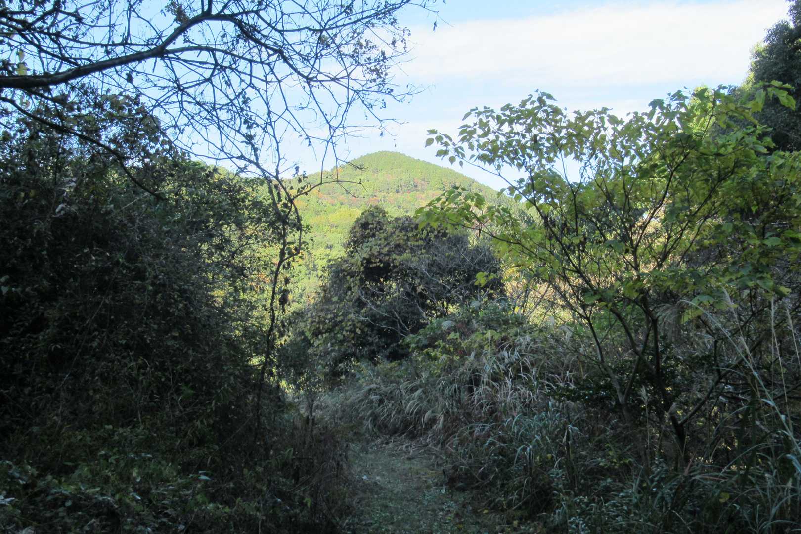 明星山-白金山-向耳納 周回コースの写真