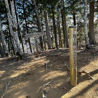 鳥ノ胸山　ちょっとは手を入れて欲しい。上りも下りもキツイ