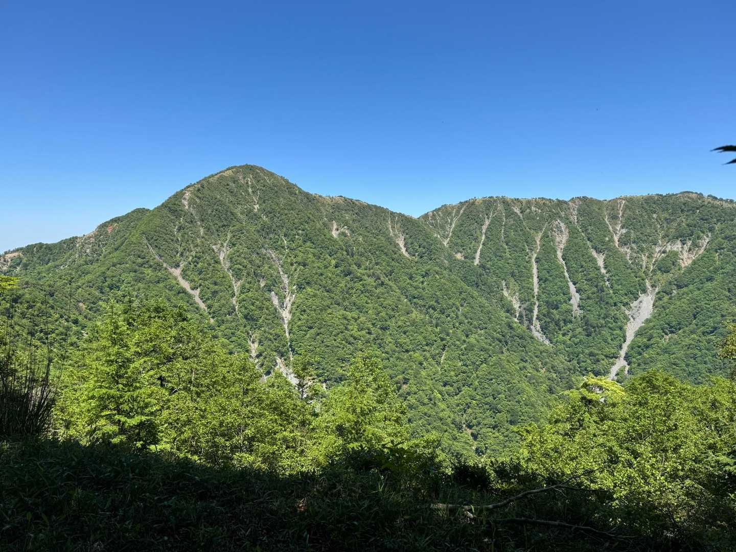蛭ヶ岳が見えています