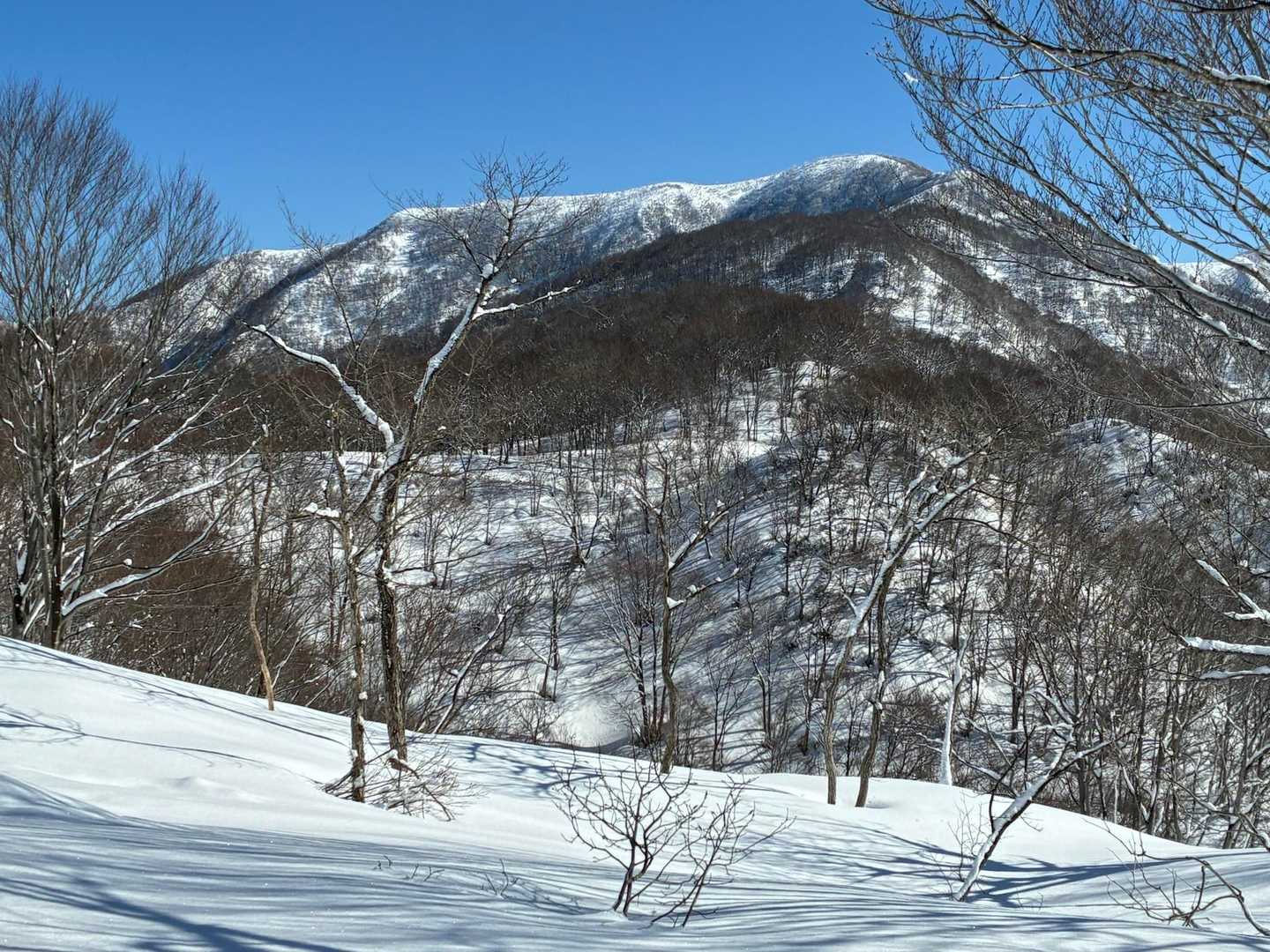 まだまだ遠い大地山。ここであんぱん一個頬張る( '༥' )しかもカロリー最強揚げあんぱん！
