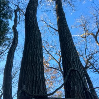 おおたかややま