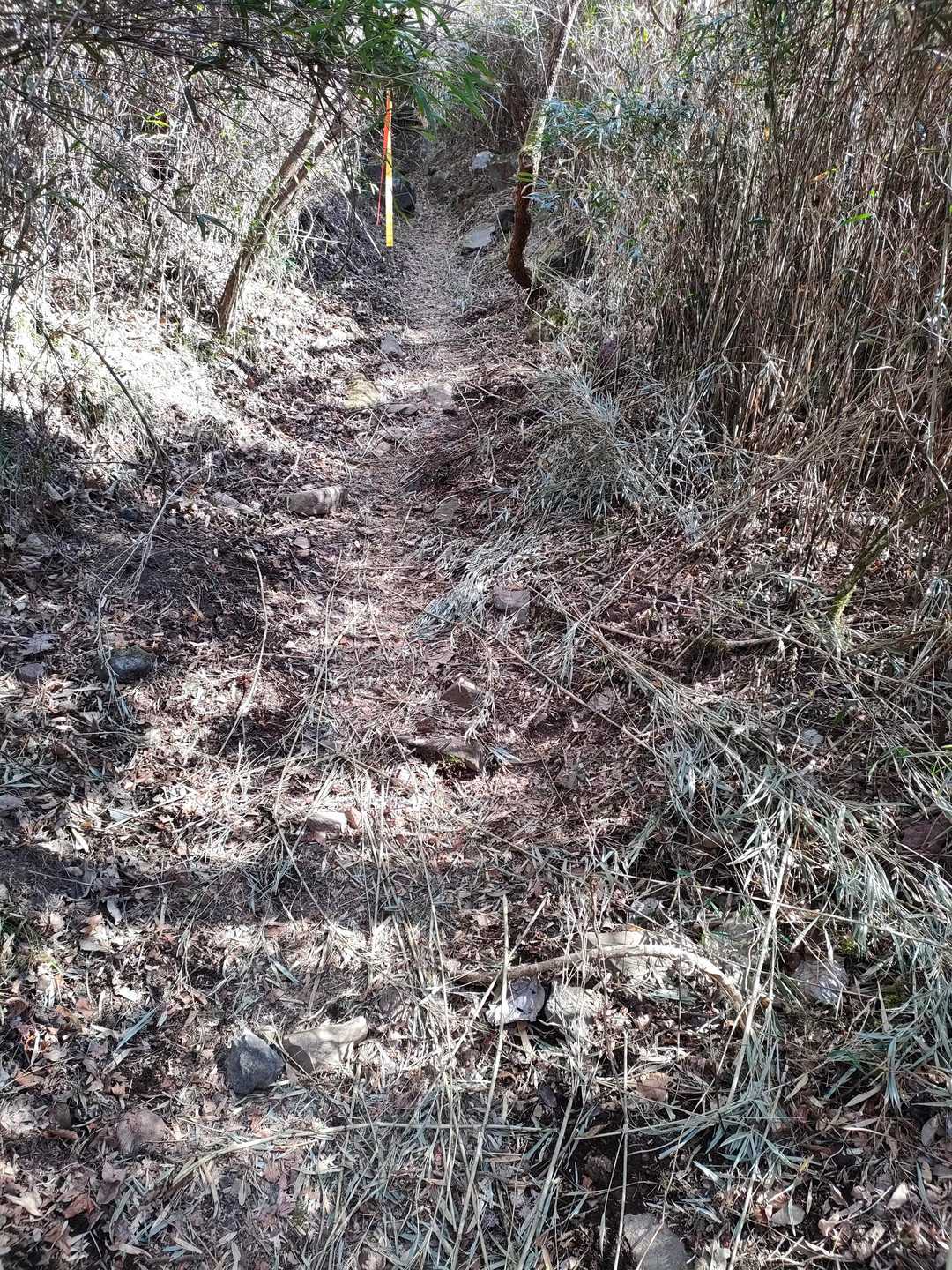 幕山への登山開始