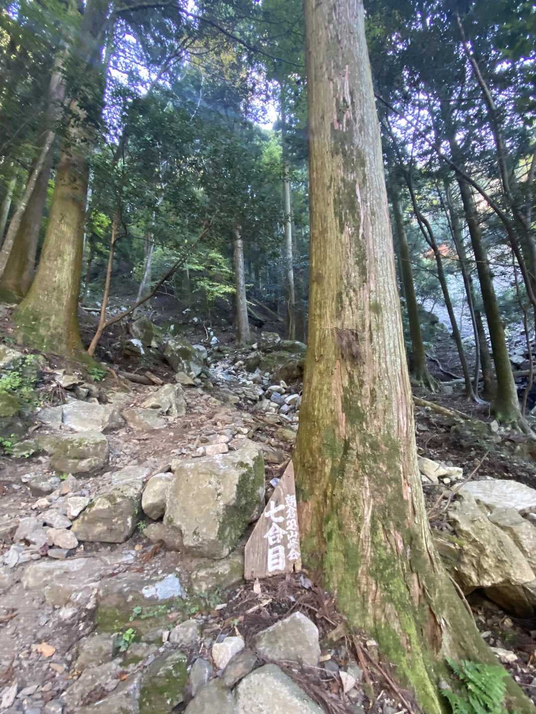 五合目登山口 往復コースの写真