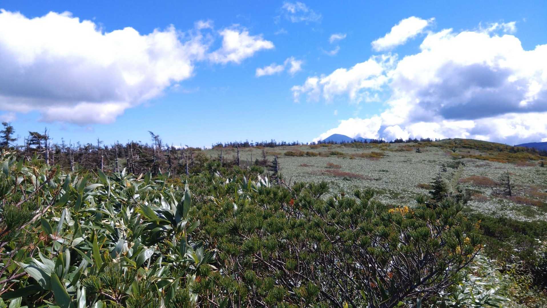 裏岩手連峰登山口-畚岳-諸檜岳 往復コースの写真