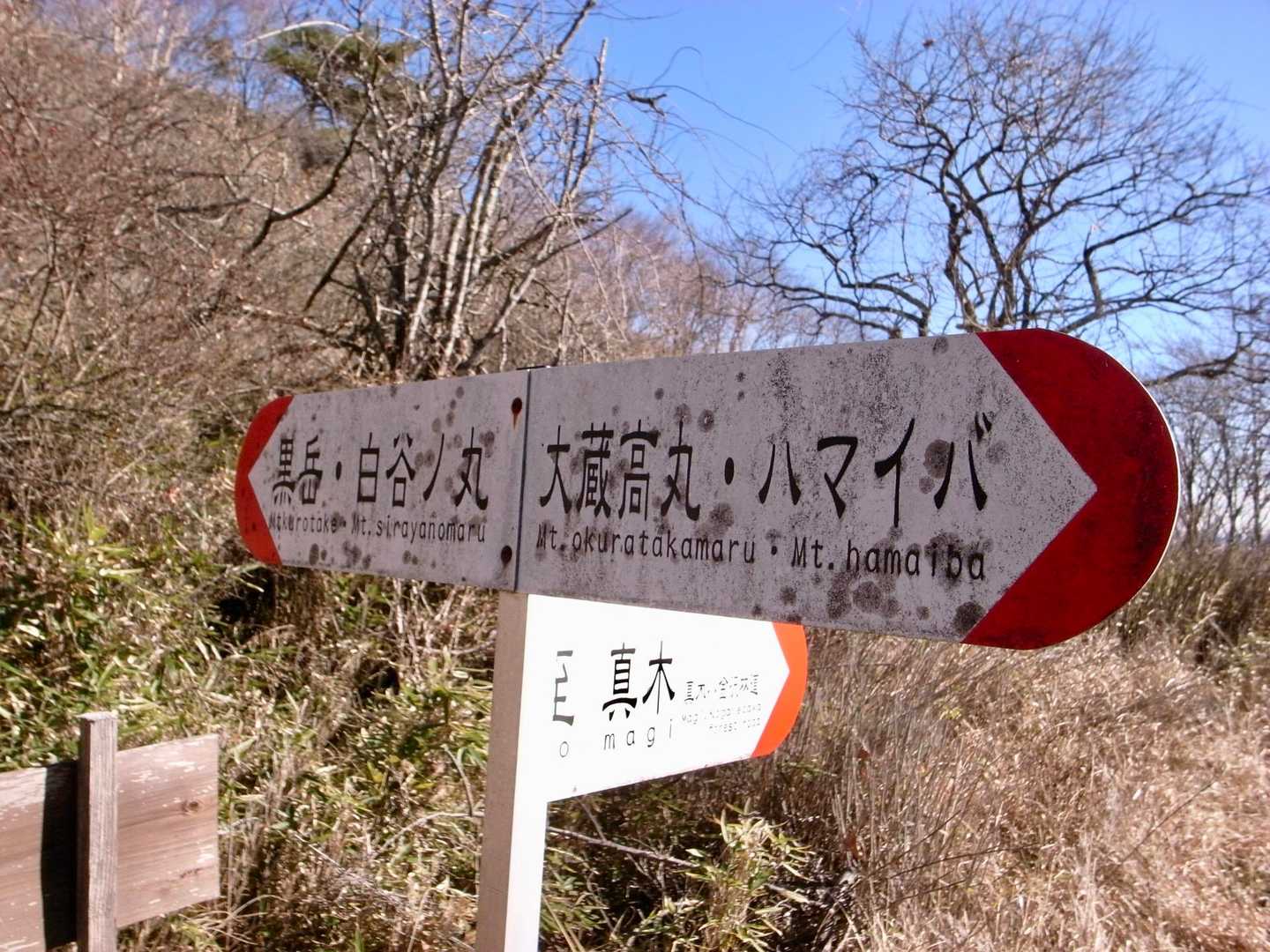 さぁ帰ってきました。