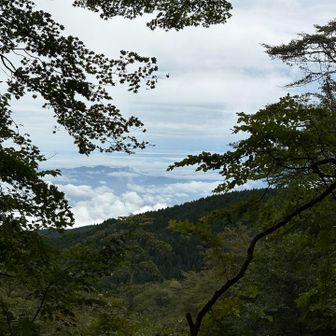 雲海が見えて
なんか晴れて来そうな気配
