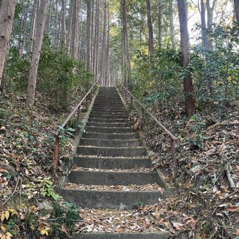 ⛩️へ向かう階段