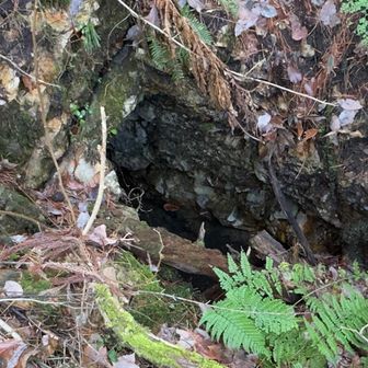 そんで、あった！手掘り
60年ぶりに防空壕？の入口出口を確認！
(ここからあそこまでだとするとかなり長い。防空壕かどうかは不明)
父親に怒られた記憶蘇るレジェンド笑笑😂
ワタシの好奇心からいつもは立ち寄らない場所を60年ぶりに尋ねることができたとか
ゲラゲラ笑う
山って不思議ね
今の子はこんな思い出ないだろーね
歳の差20で同じ場所の思い出話し😂
小中の先輩なんだね
なんだかとってもいい時間を過ごせた
あぁ、やっぱ山っていいな
鳳凰山　ありがとうー


今年一年カッチャのヒトリカダリにお付き合いくださりありがとうございました
みなさまとのご縁を励みに楽しく山歩きができましたこと心から感謝申し上げます
穏やかな年末年始をお迎えください

せばだば、またのぅ🦛♡