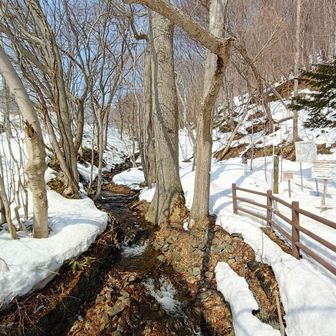本日もありがとうございました😌🙏モイモイ〜🙋