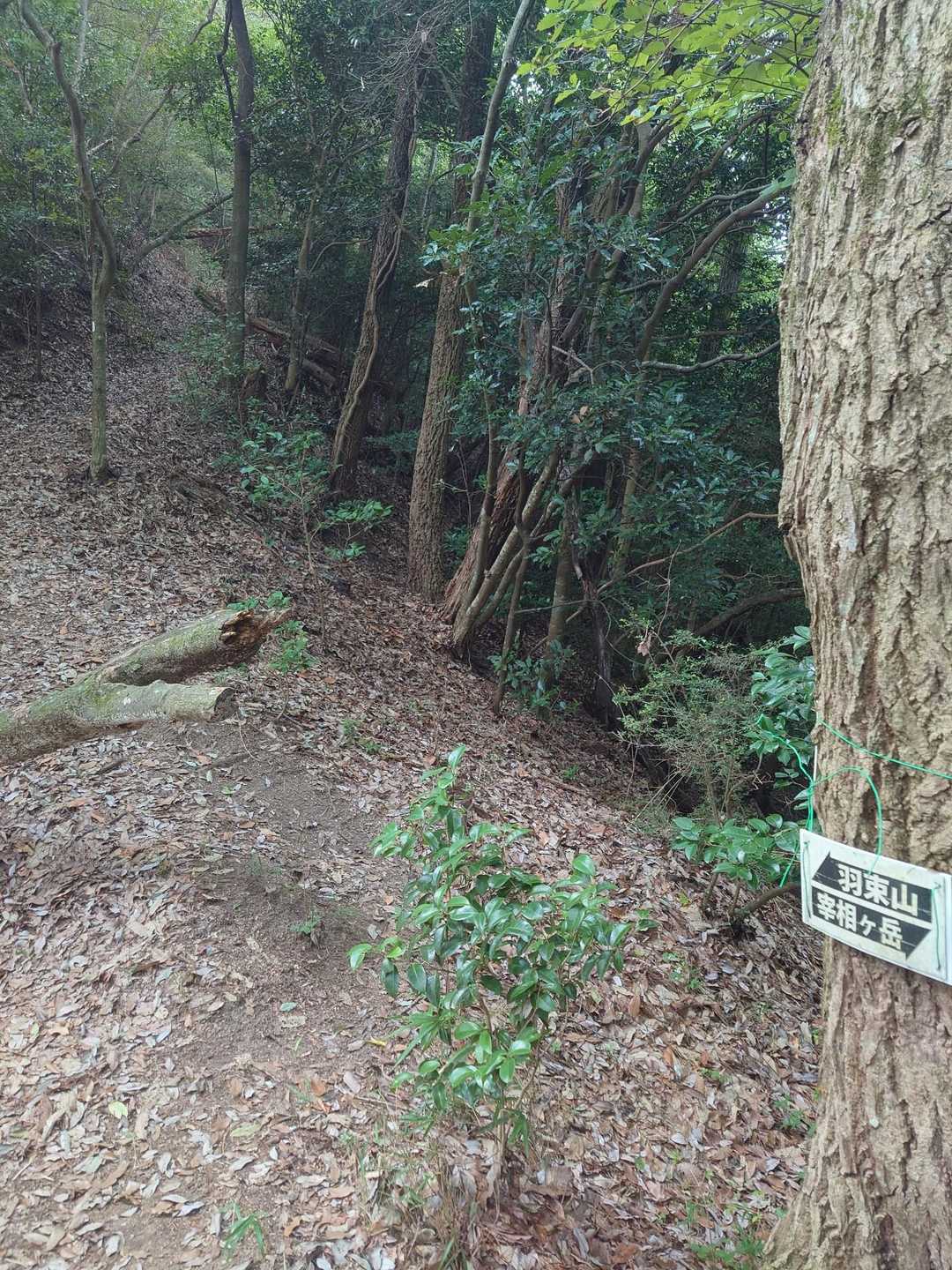 宰相ヶ岳、羽束山の間のキレット
ここから登り返し✊️