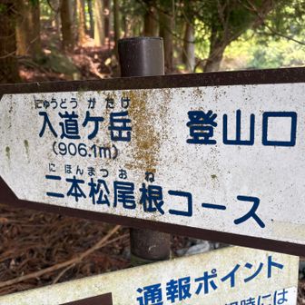って事で、つい今しがた下ってきた道を登り返す