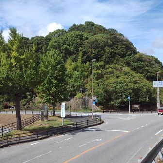 菩提峠と根来断層の露頭
ここ菩提峠には、中央構造線の分岐断層である根来断層の露頭が存在する(以前は標識もあったが、近年閉ざされたようだ)
根来断層は東西方向に走る中央構造線の主要な副断層の一つで、この地域の中央構造線帯の地質構造を示す重要な場所らしい