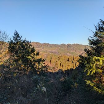 高尾山を裏側から見ることが出来る場所✨ゴーンという鐘の音も聞こえます