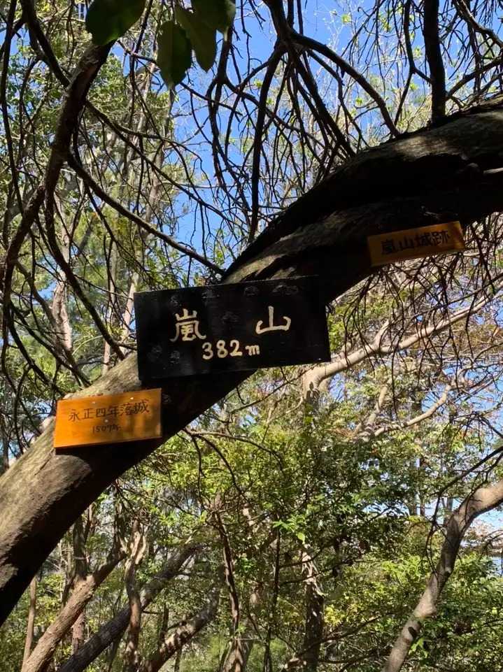 嵐山の写真