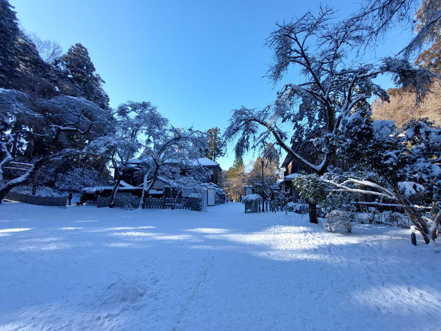 ここにくるまで、歩きづらく。。。
オケツにヤバいもの挟んだままかのような不思議な歩き方…
なんとかたどり着いた。(>_<)
これは水分不足かな？
雪はいっぱいありましたけど…
