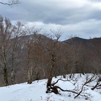 正面が目指す百里ヶ岳
