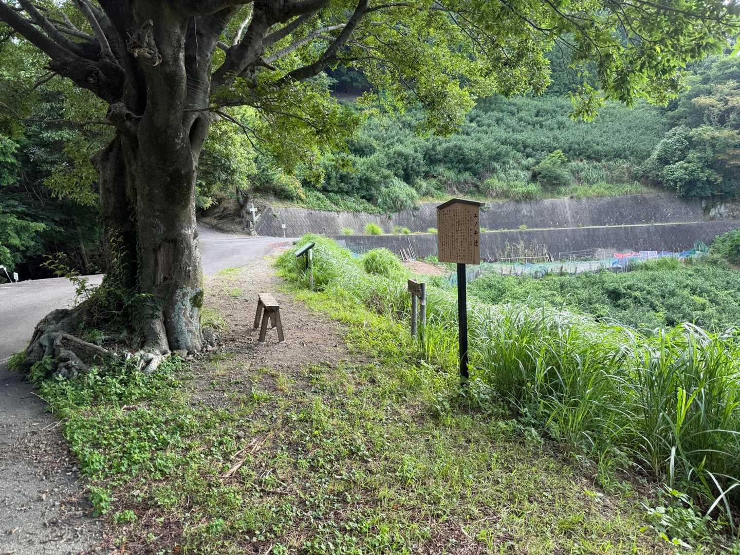 榎辻通過