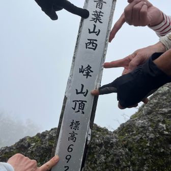 デン。やったー！けどまるで景色ゼロ😂