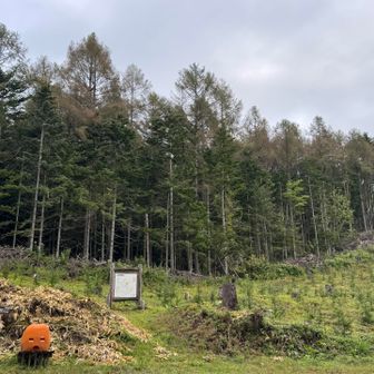 伐採と植林されている所が何箇所もありました。初期消火用でしょうか水タンクがあちこちに置かれてます。このタンク顔に見えてしまう😦
