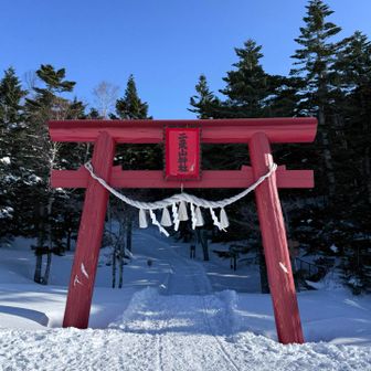 二荒山神社の鳥居を潜って登山開始です。
男体山も二荒山神社でした。日光の山々は聖地なんですね🙏