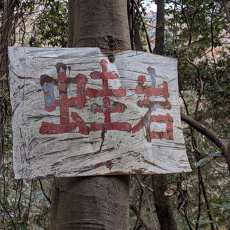 こんなに　アピールしてたのに…
通り過ぎるとは…