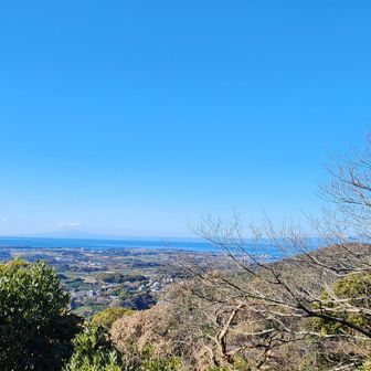 右の枝の隙間から富士山