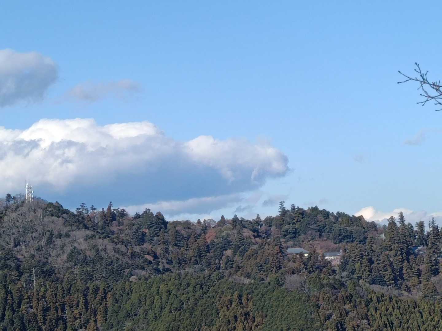 高尾山をのぞむ