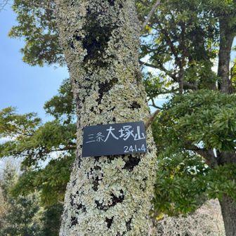 　三条大塚山（さんじょうおおつかやま、別名：西畑大塚山／大多喜町）。
　三等三角点「杉森」（241.4m）がある。
　今回唯一のYAMAPグリーンピーク、みんなで登ろう房総の山50選、千葉県の山（分県登山ガイド）、房総のやま110。
　 県外から訪れる方もいるため、不出来ながら山名板を設置した。
　桜の老木には地衣類のウメノキゴケが付着しているが、樹木に害はなく、むしろ空気のきれいな場所で見られる。