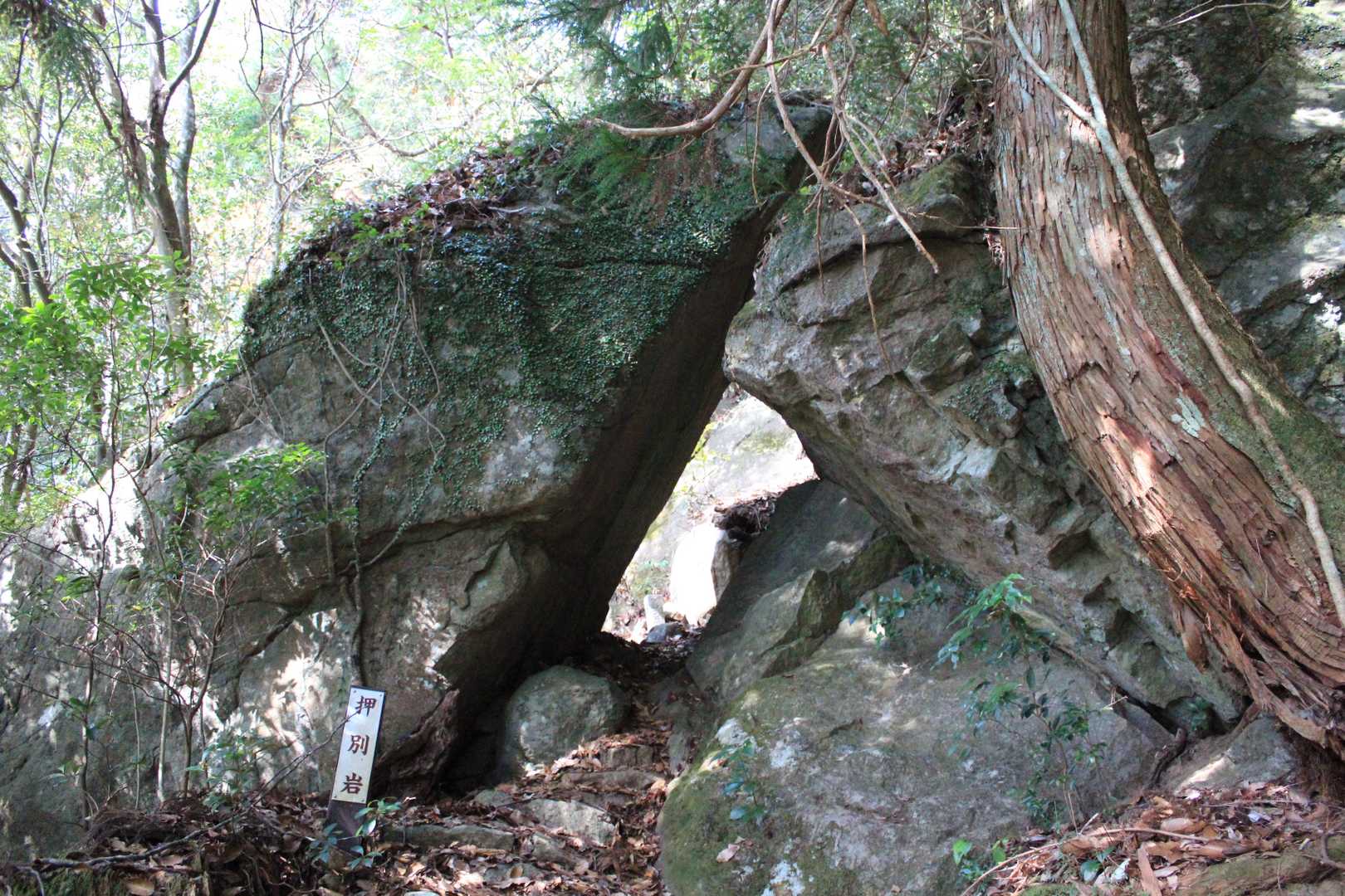 檜原山 往復コースの写真