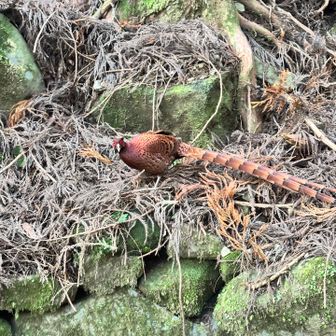 目があった❗️