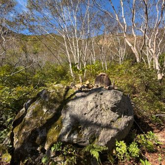 沼の平。この辺りでかすかな硫黄臭を感じました