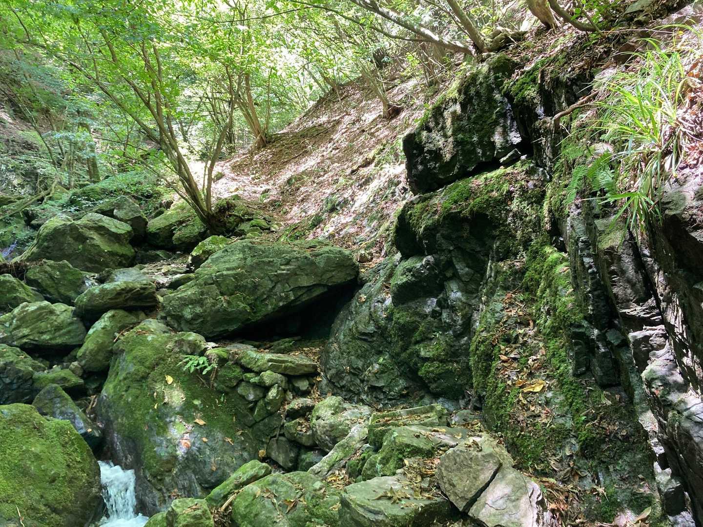 千足バス停-大怒田山-大岳鍾乳洞入口バス停 縦走コースの写真