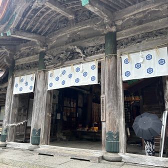 御朱印巡り⛩️