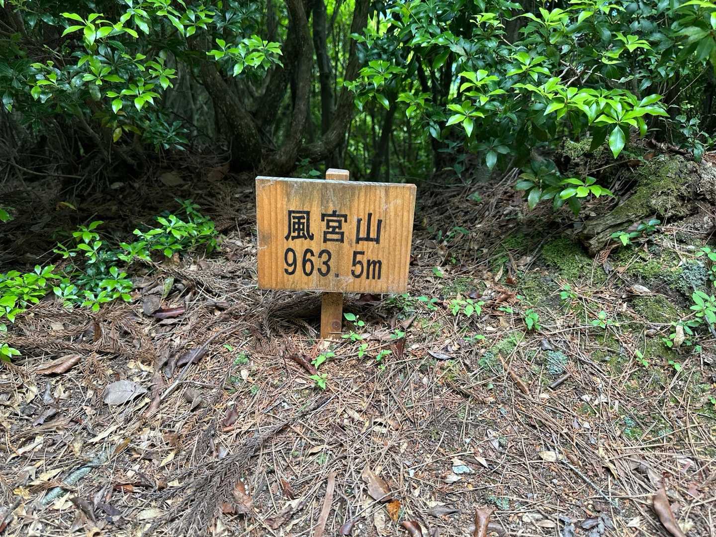 富貴山 往復コースの写真