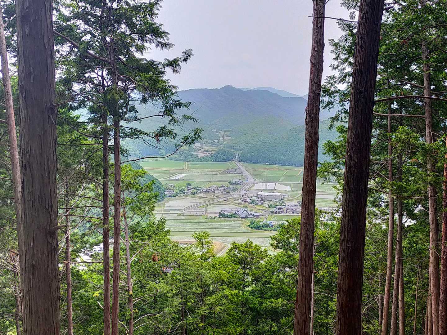 金輪寺-半国山 往復コースの写真