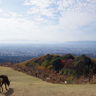 若草山・芳山・高円山 若草山山頂到着👏
メチャメチャ人多いです❗
世間は4連休⁉️なのかな🤔