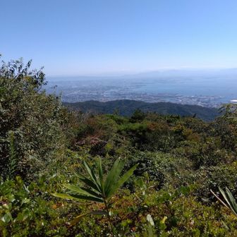 今日は晴れて見通し良かったです