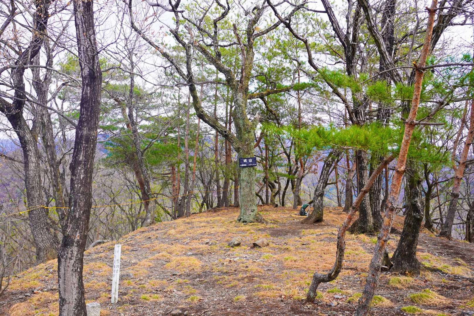 城山頂上 古俣城址 304.6ｍ ◭
上杉軍を征伐したお城らしいですが それにしても小規模で 可愛らしい😄